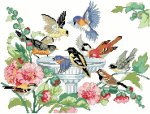 (image for) Bird Bath